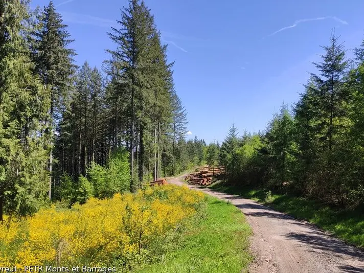 cricuit du mont de Nedde.jpg_1