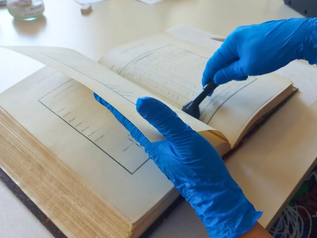 Conserver les livres de la bibliothèque
