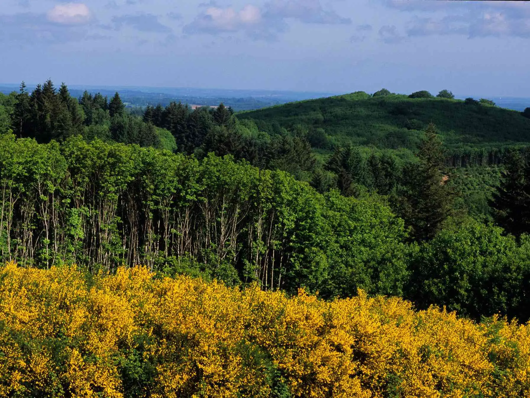 La Grande boucle du Parc Périgord-Limousin_1