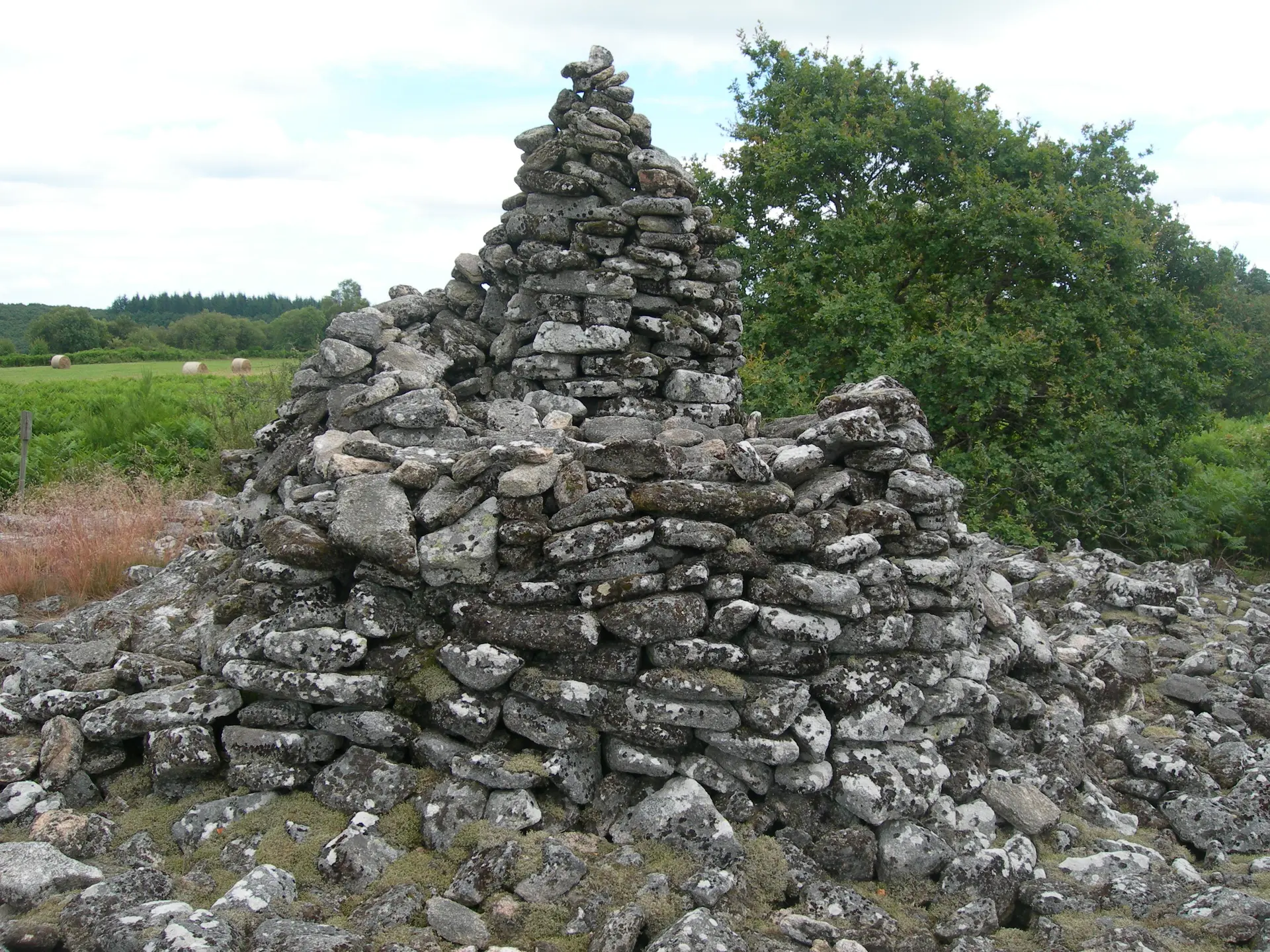 Tumulus de Quenouille_1