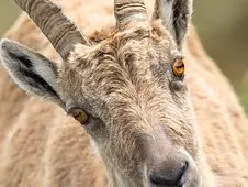 Thomas et Nadia SEILER_1