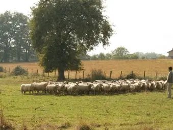 La Ferme des Palennes_1