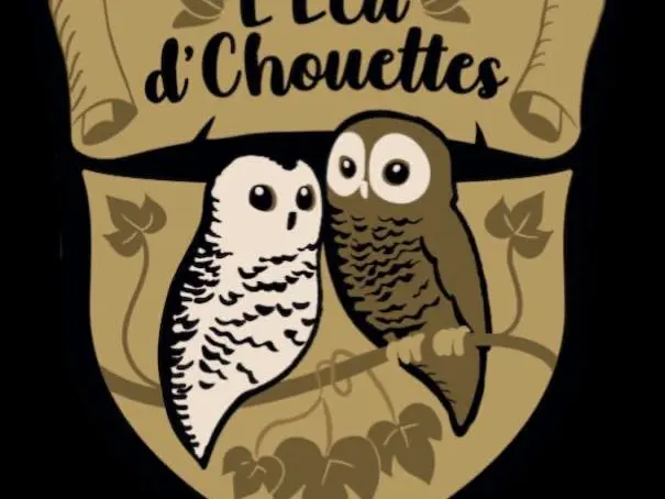 restaurant l'écu d'chouettes saint-yrieix_1