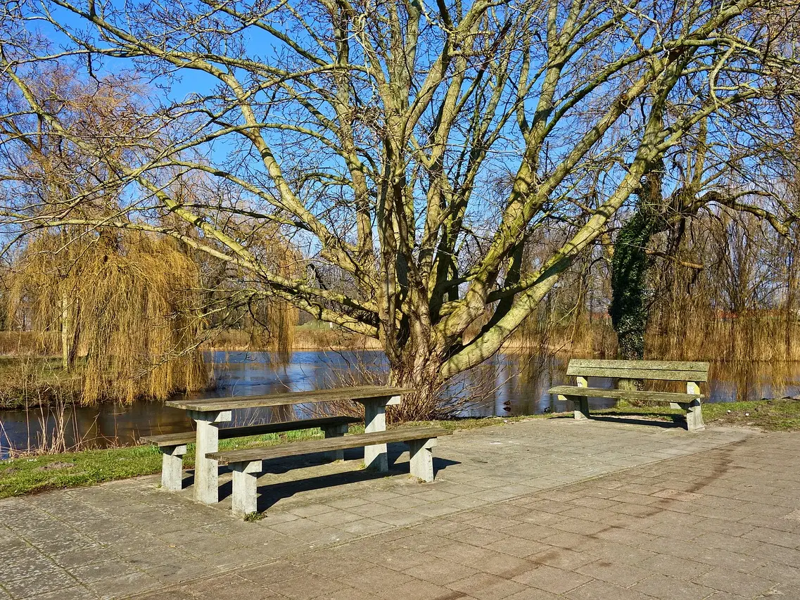 Aire de pique nique à Mézières-sur-Issoire_1