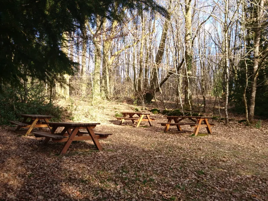 Aire de pique-nique Forêt de Boubon