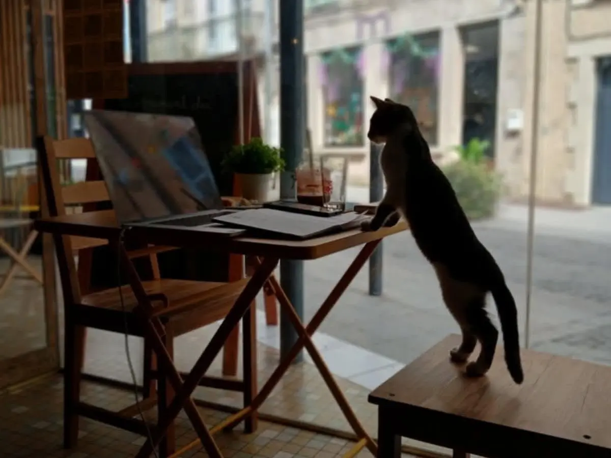 Tchica Café et ressourcerie Bellac