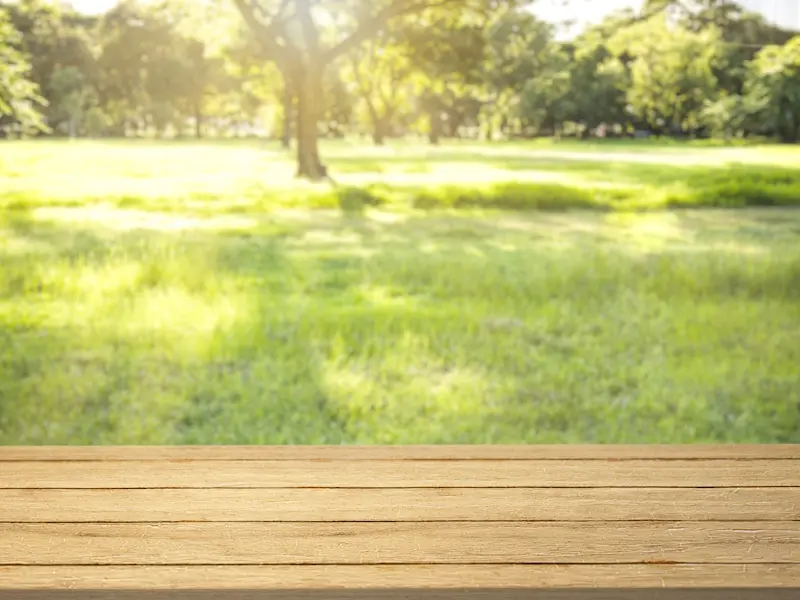 Nature product backdrop, green backyard