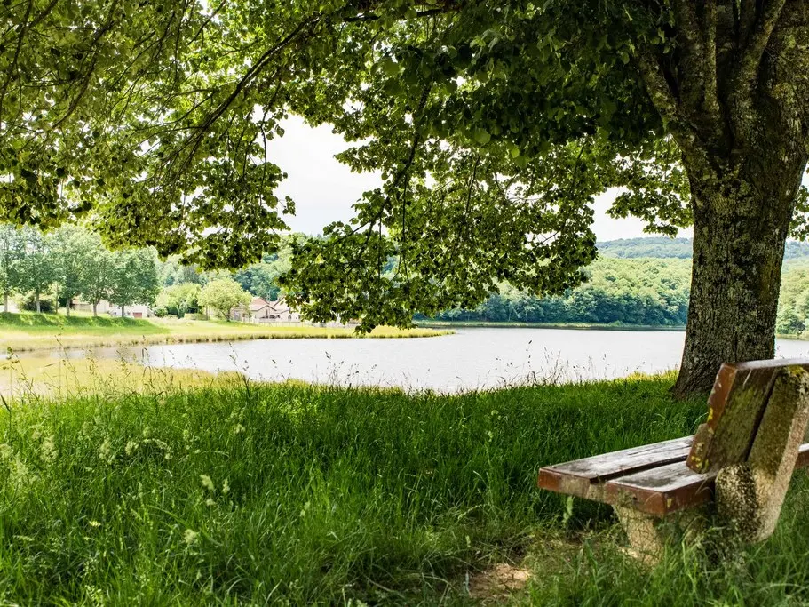 Aire de pique-nique Etang de Jonas