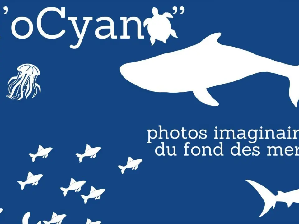 l'oCyano