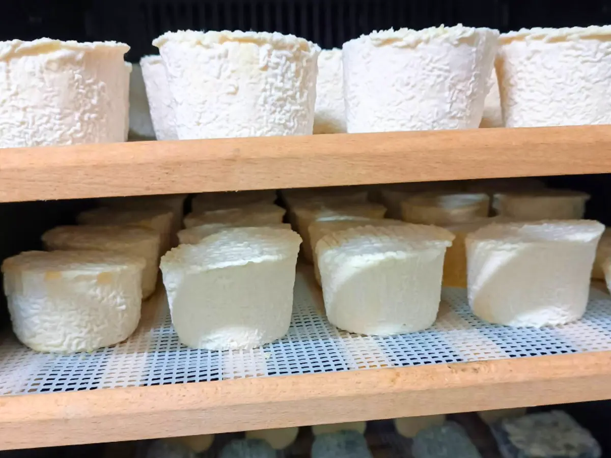 Fromagerie Seiler - Bussière-Galant