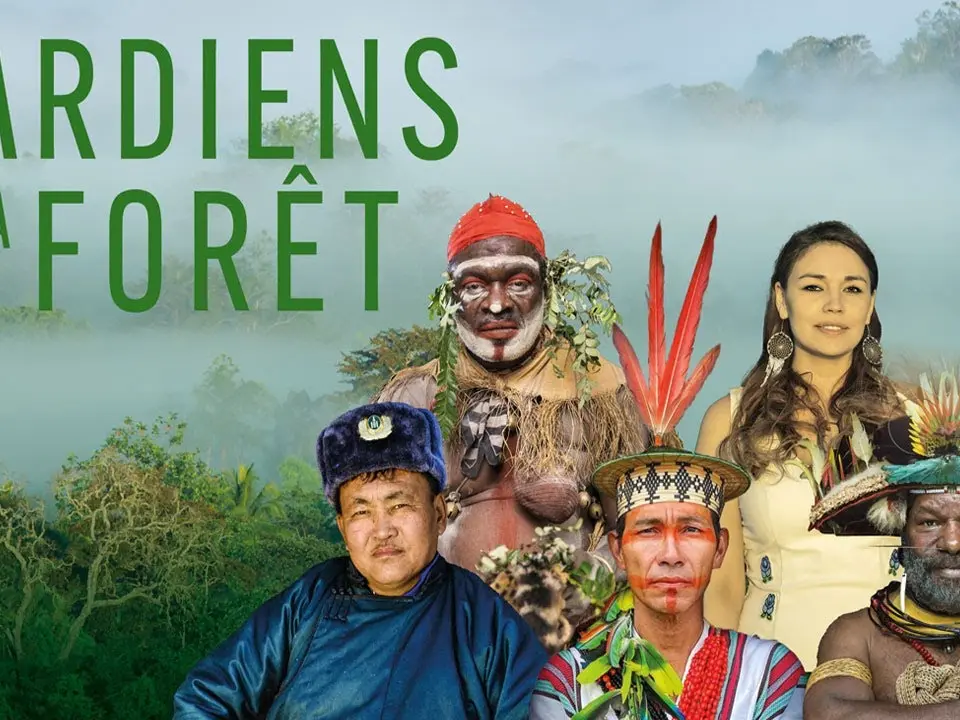 Gardiens de la forêt