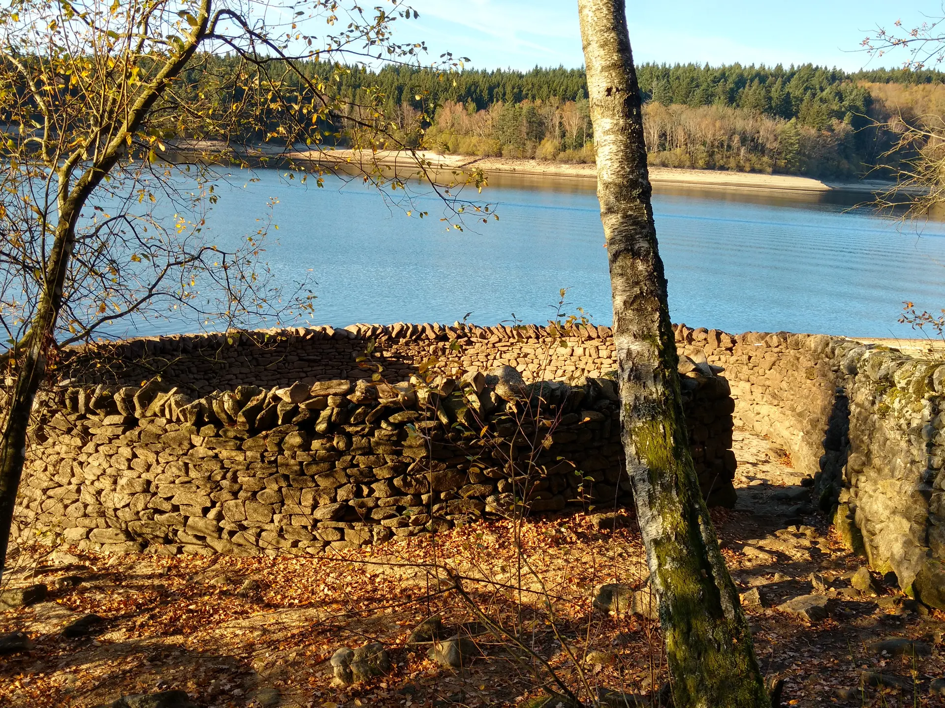 LAC