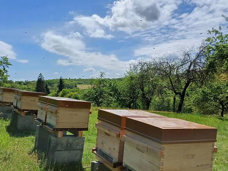 La Ferme aux abeilles