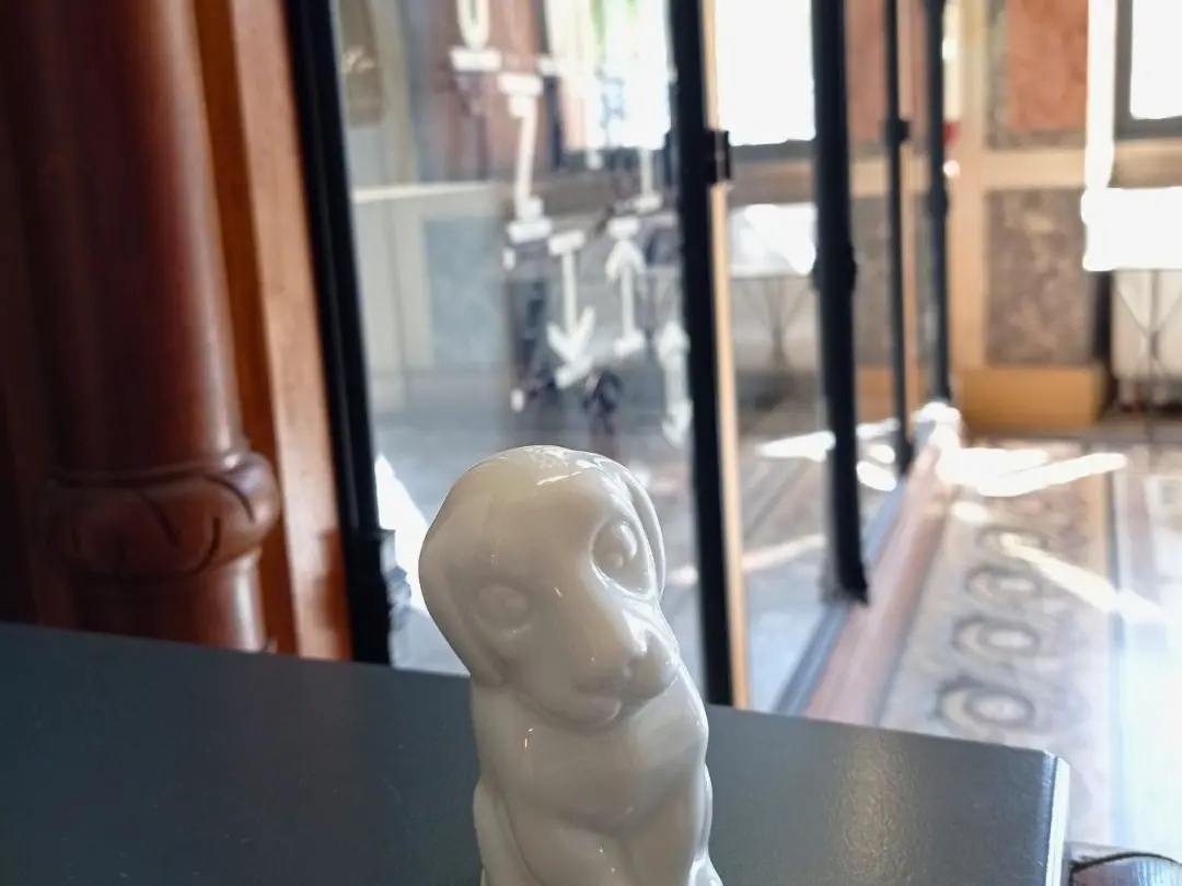 Le chien Porcelaine et son mini musée