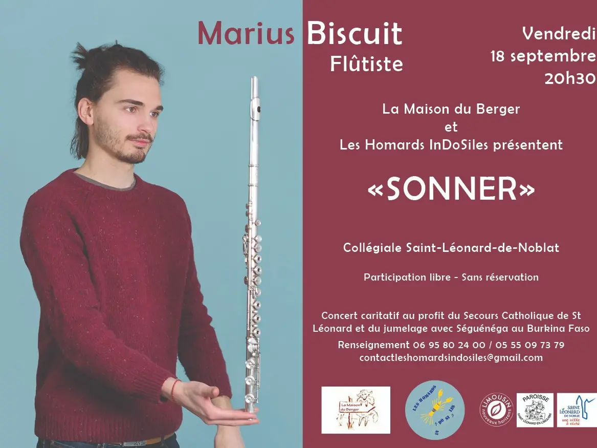 Marius Biscuit en concert