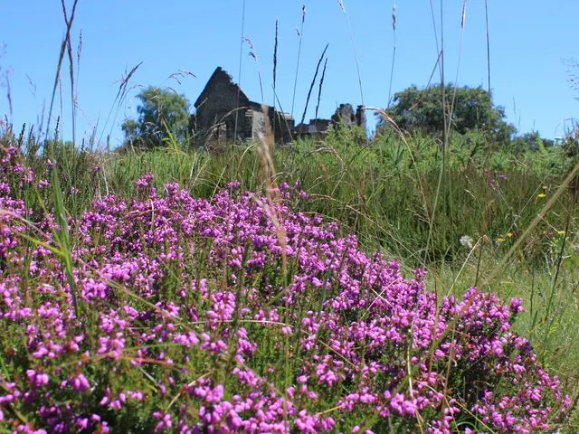 Mont Gargan