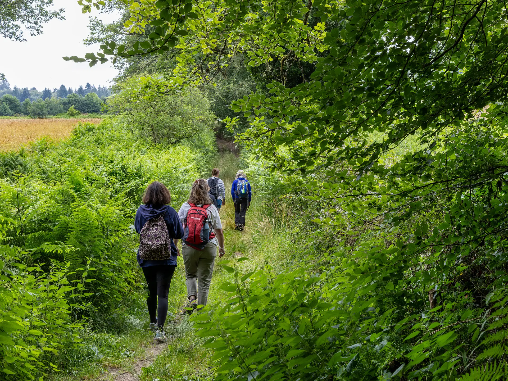 RandonnC3A9e-Caminata-LIMOUSINnouveauxhorizons