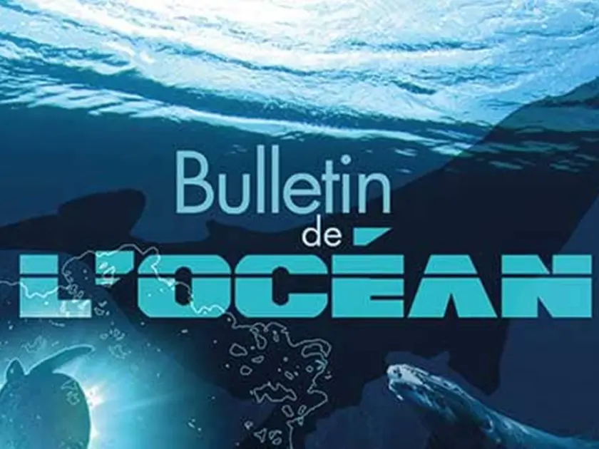 Visuel_expo_Bulletindelocean