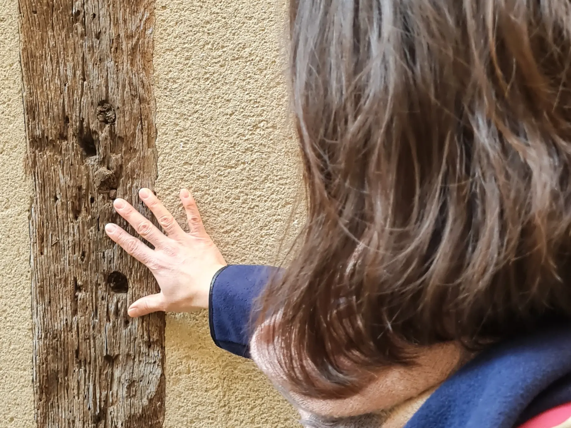 Visite sensorielle © VDL