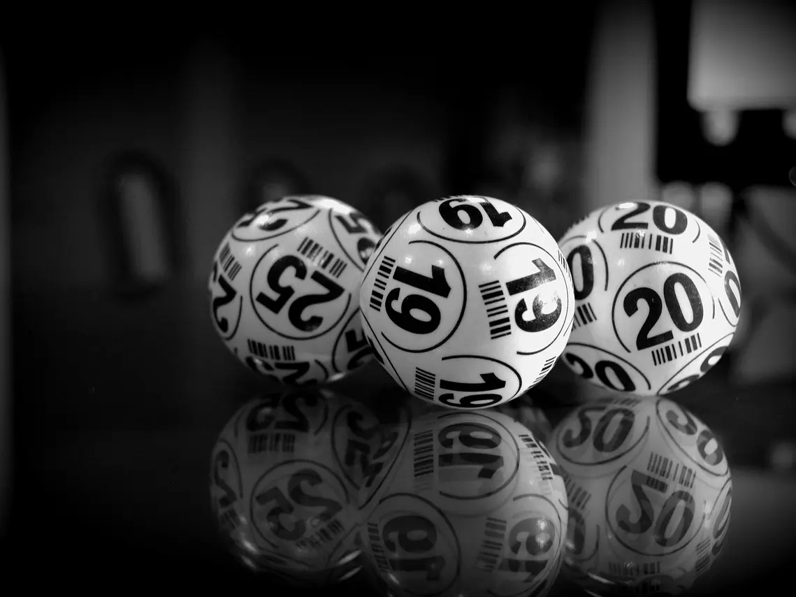 bingo