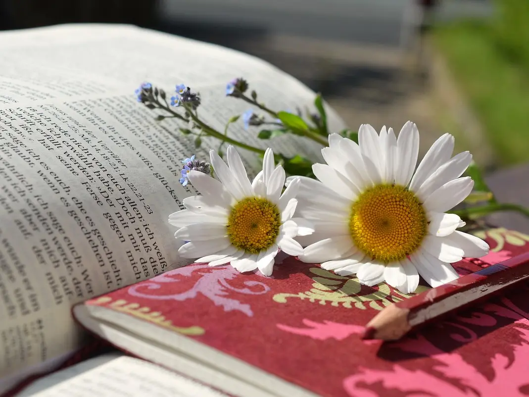 congerdesign-daisies-