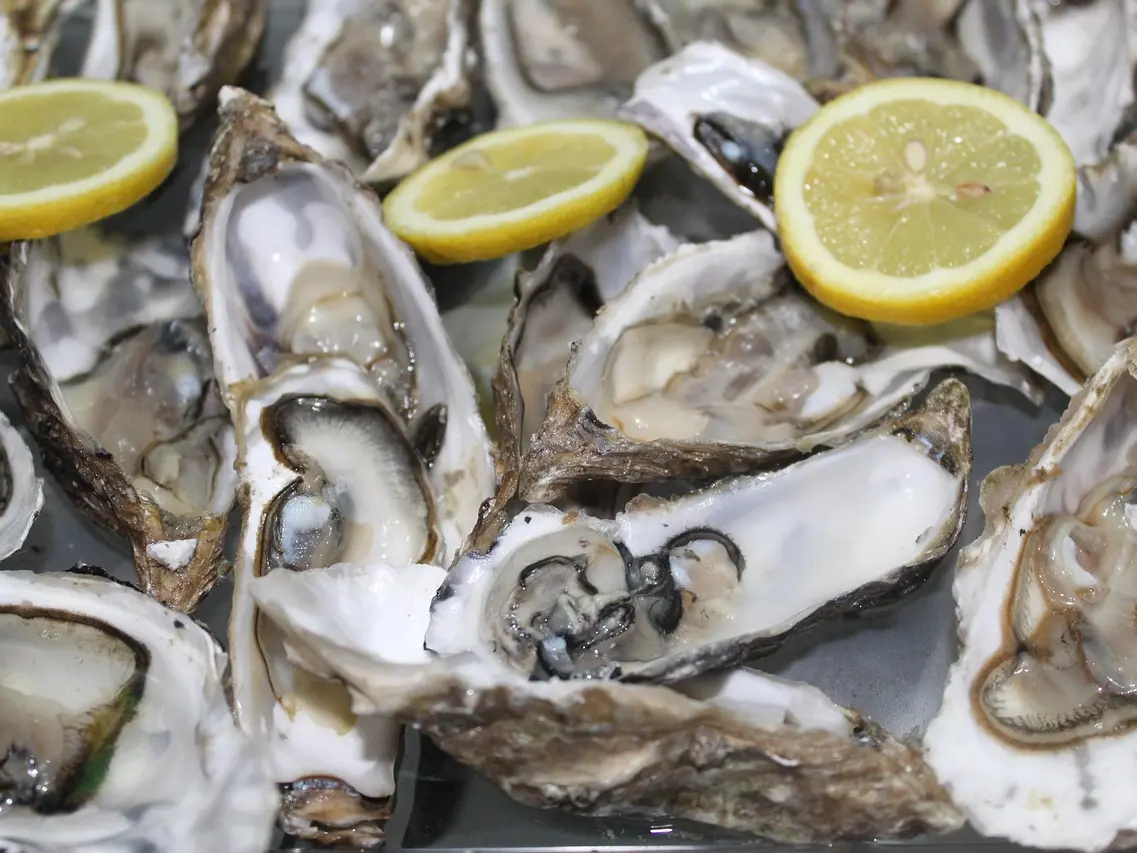 gigiisprod-oyster
