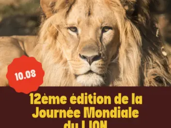 journée du lion