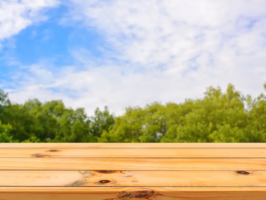 Wooden board empty table in front of blurred background. Perspective brown wood table over blur trees in forest background - can be used mock up for display or montage your products. spring season.