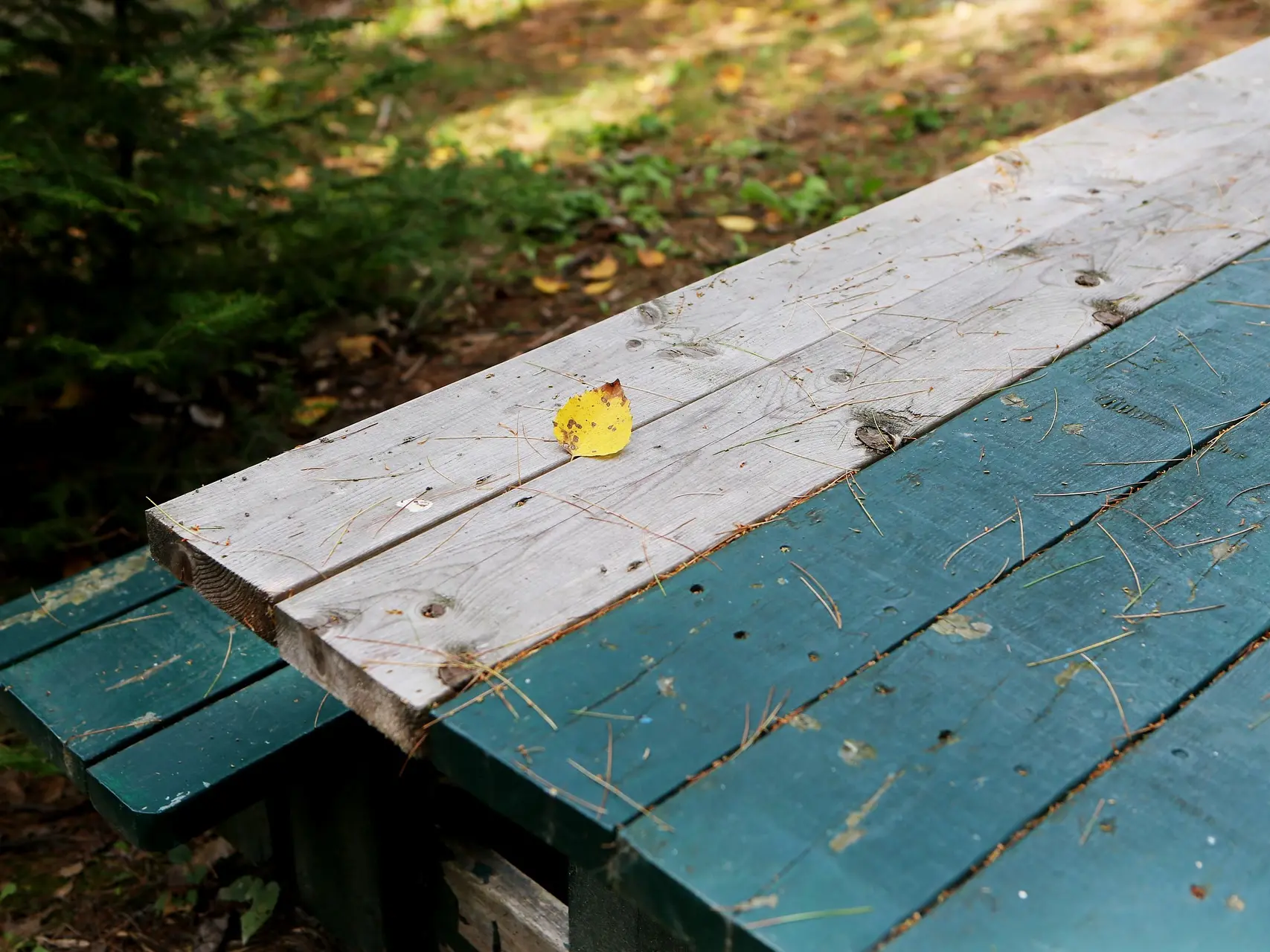 picnic-table-2618414_1920