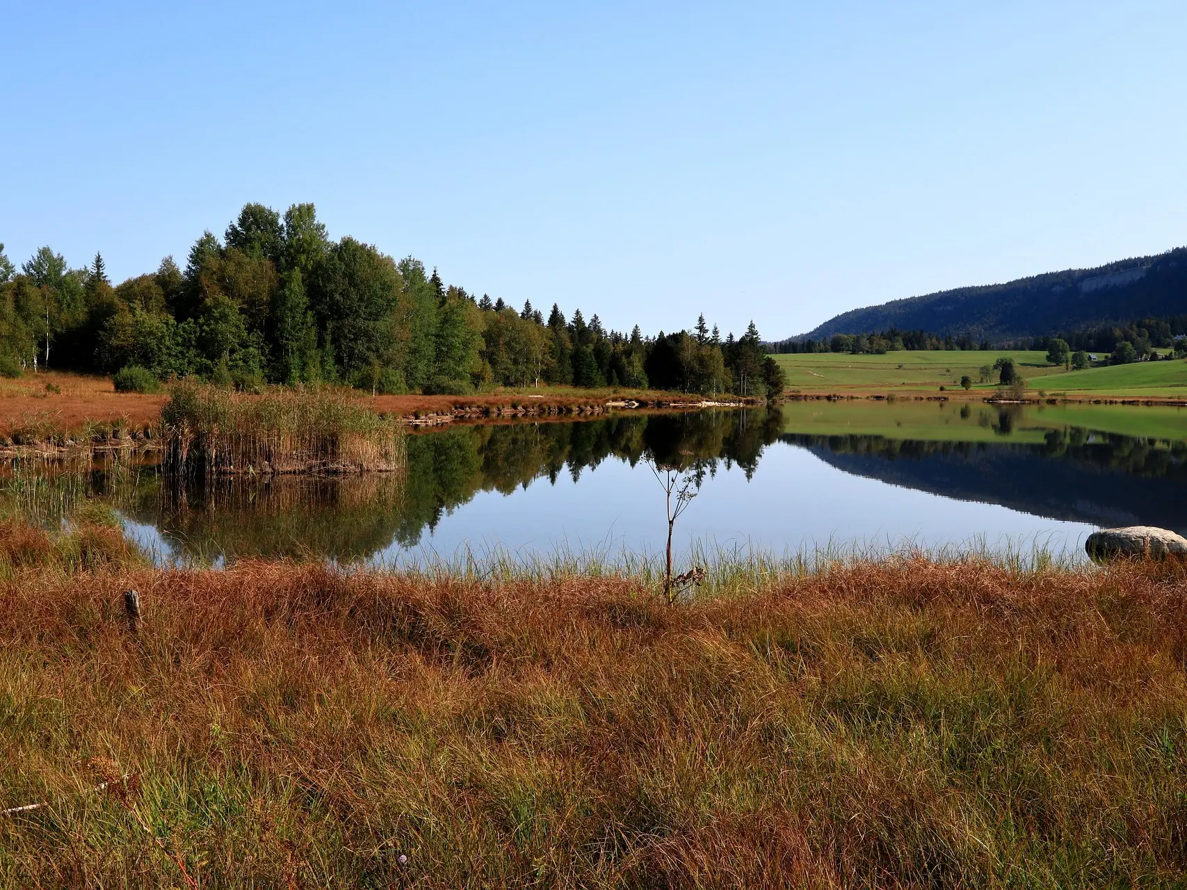 rauschenberger-lake-5577094_1920