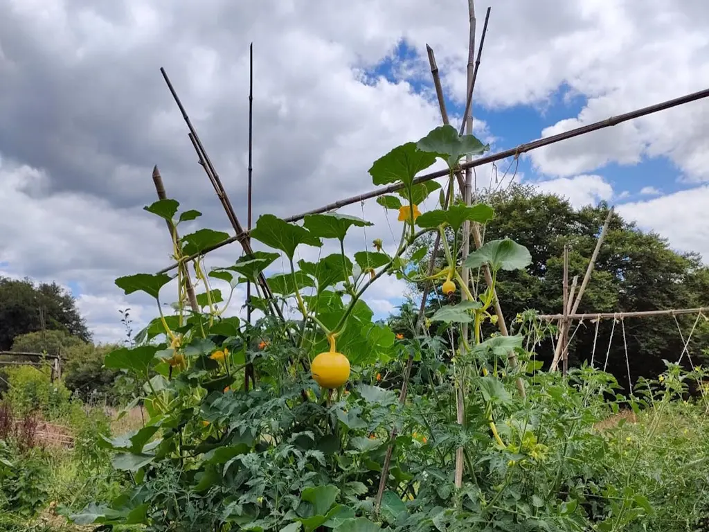 Initiez vous à la permaculture