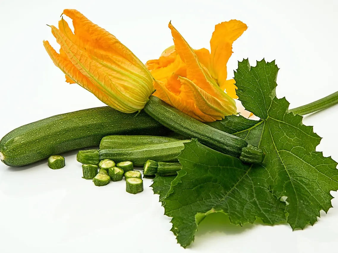 stevepb-zucchini-
