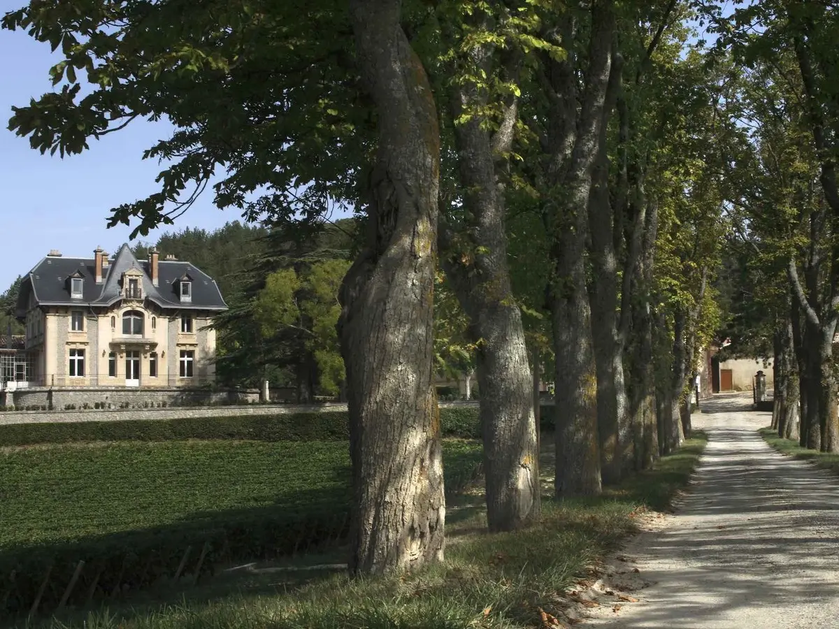 Visite Escapade - Baronarques