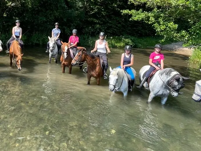 Balade Ecurie Optimum Horses