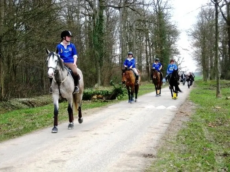 equitation-au-centre-equestre-le-robillard