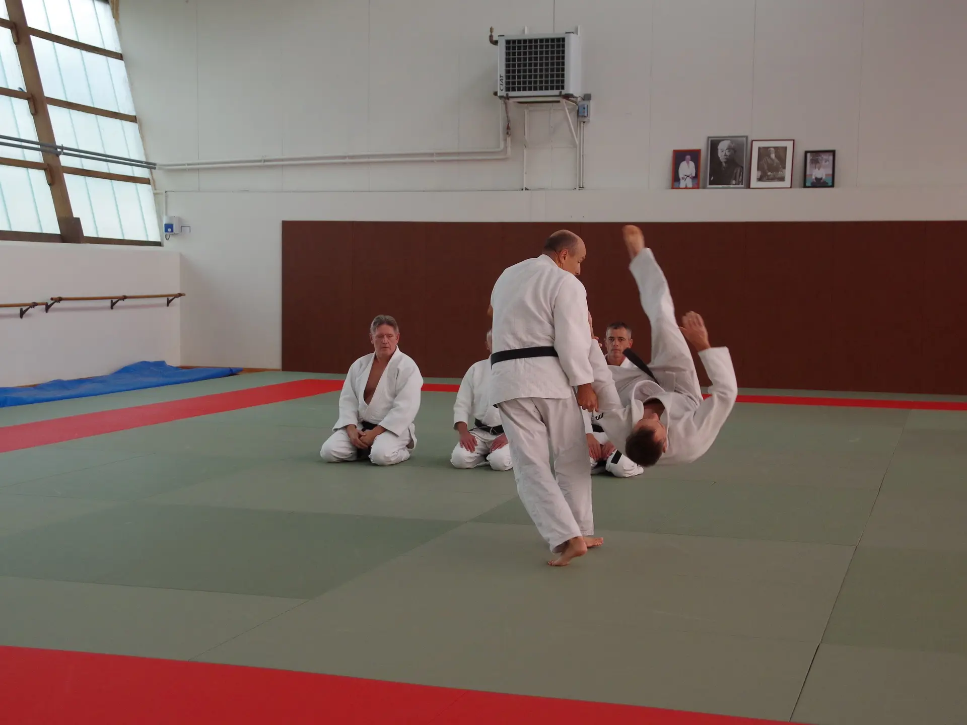 judo