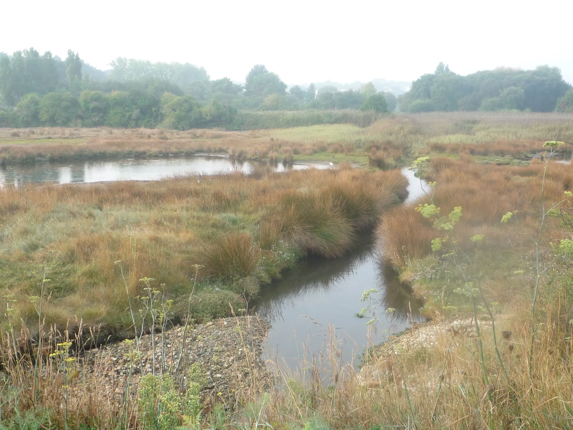 MARAIS DU GOASTER PENVENAN