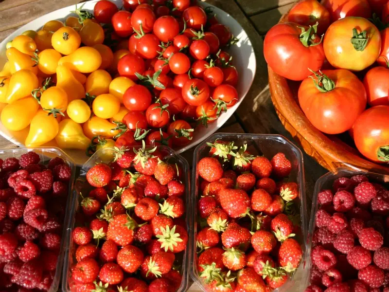 Marché fruits site