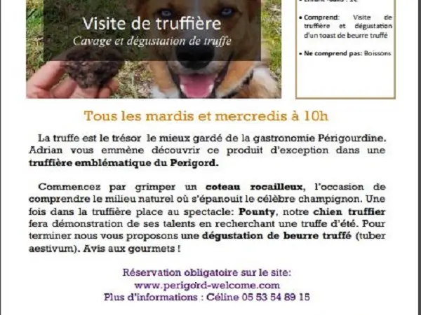 visite-truffiere