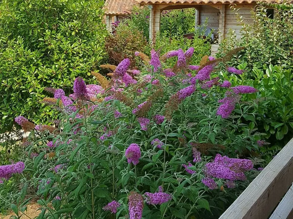 Chalets de l'Ecrin de Nature