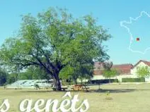 HLO 5383 Les Genêts