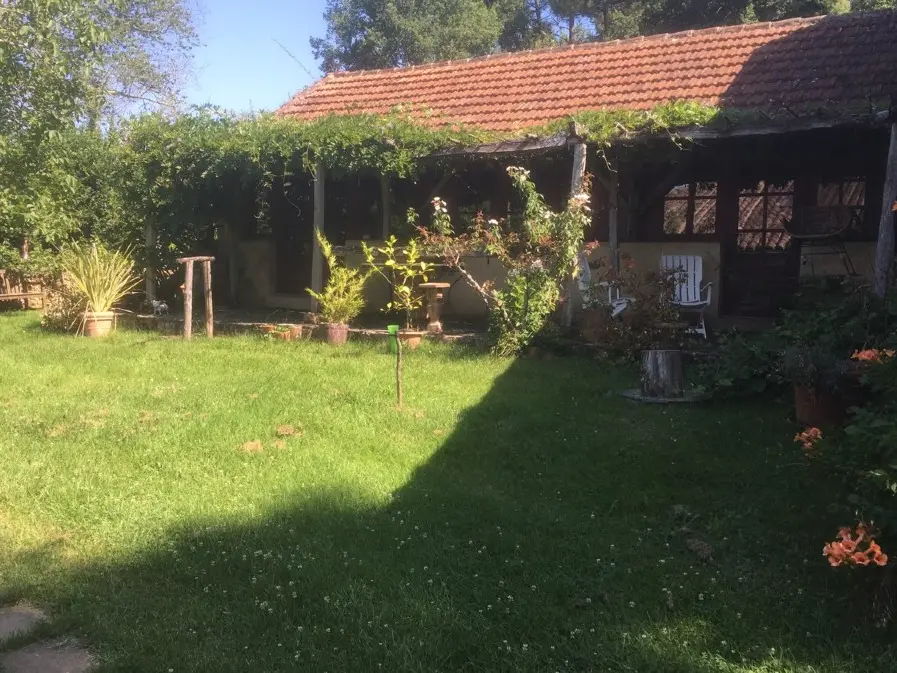 IMG-20220202-173354 (1)