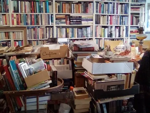 Le Rat de Bibliothèque