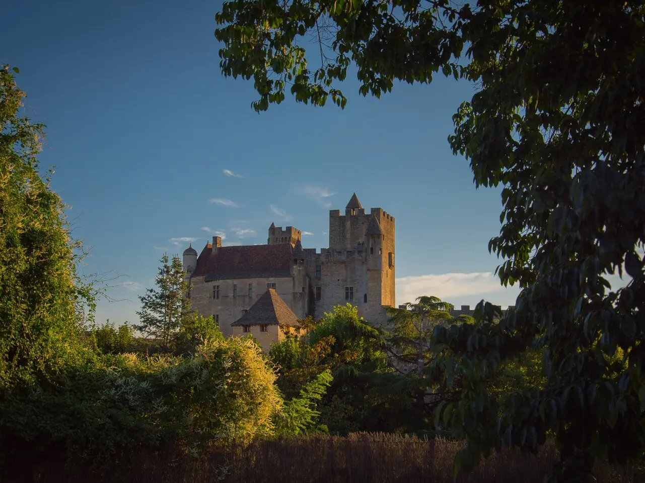 Patrimoine Beynac Dan Courtice (78)