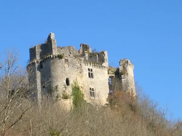 Saint Pierre de Côle chateau de bruzac