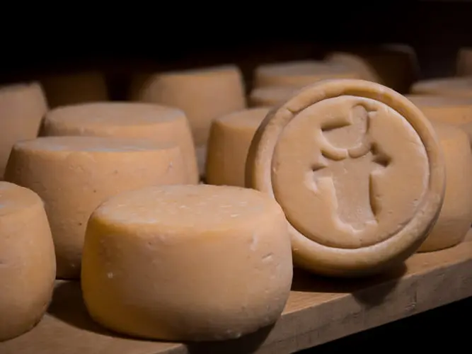 Ty Yann Fromagerie - Peumerit - Pays Bigouden