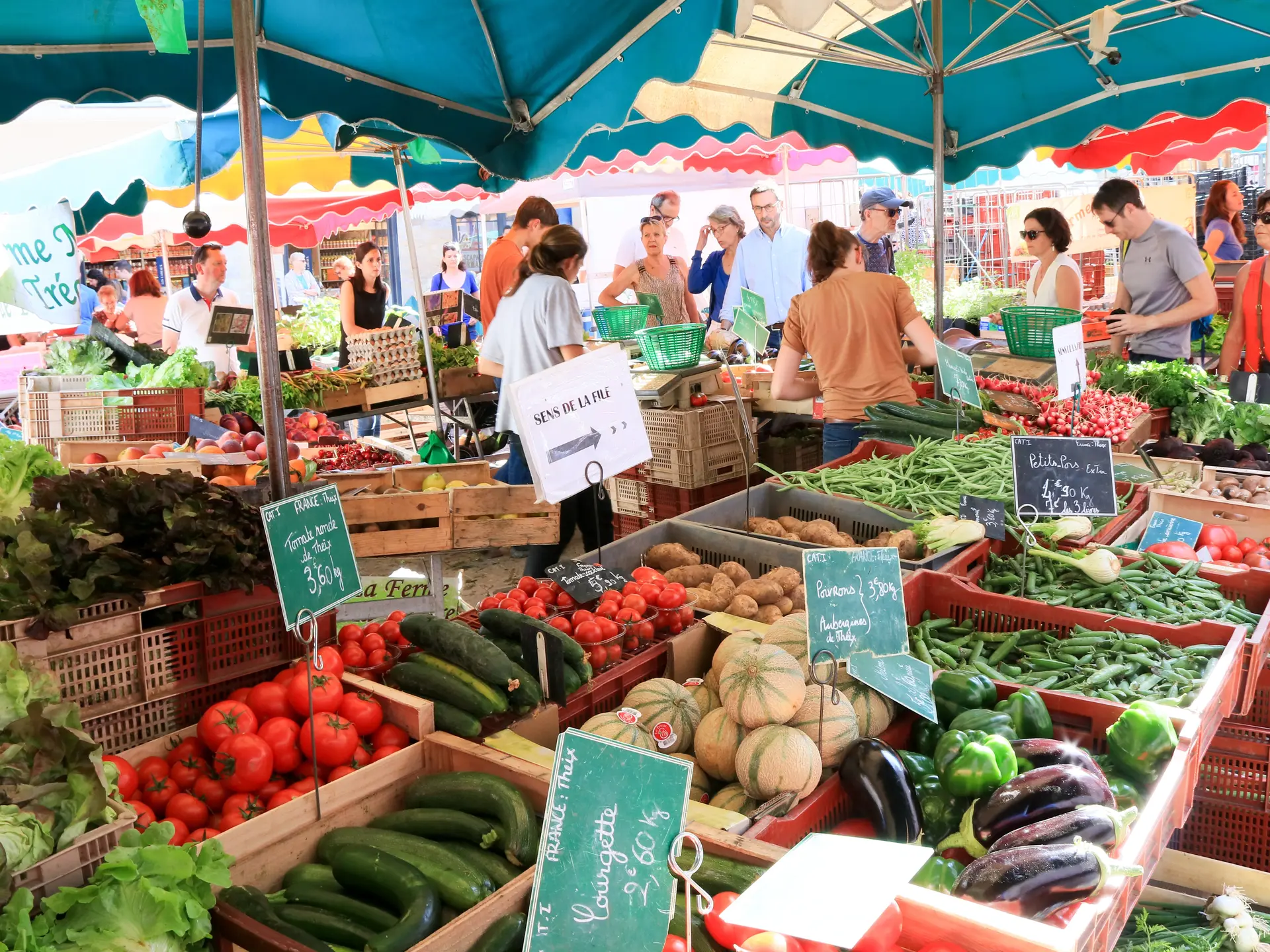 Adt-aa2204_Loic-KERSUZAN---Morbihan-Tourisme