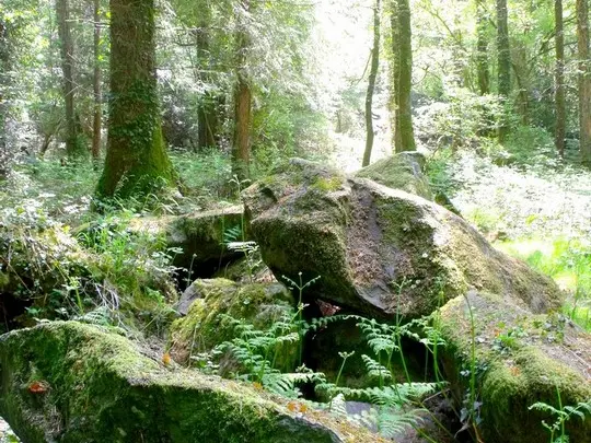 Allée couverte du Brohet G. Leroi