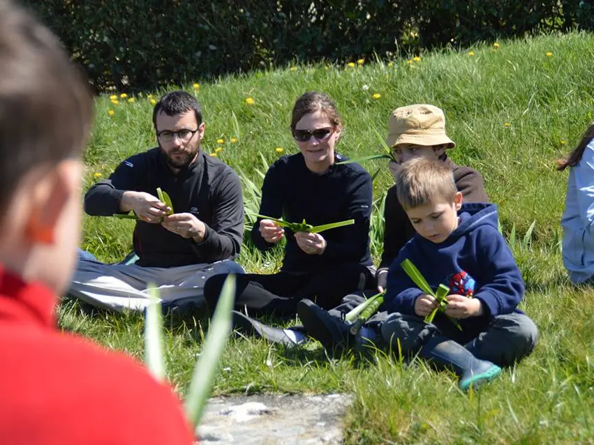 Balades-nature-de-Steven---Pays-Bigouden