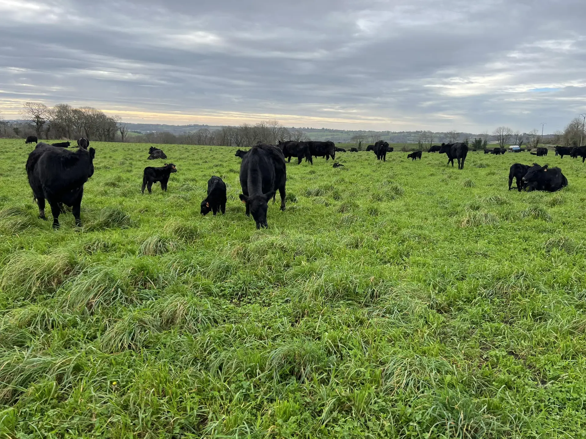 Ferme Kerdroual - Gourlizon - Pays bigouden